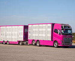 Livestock vehicles